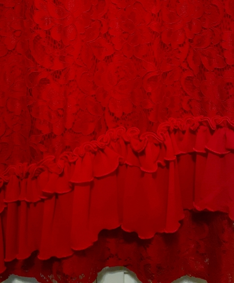 GORGEOUS! RED Lace Dress. NWOT Perfect for the Holidays 🎄 - Picture 2 of 6